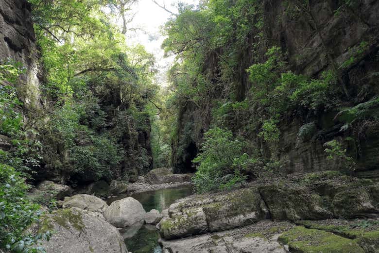 Fuente del Jaguar