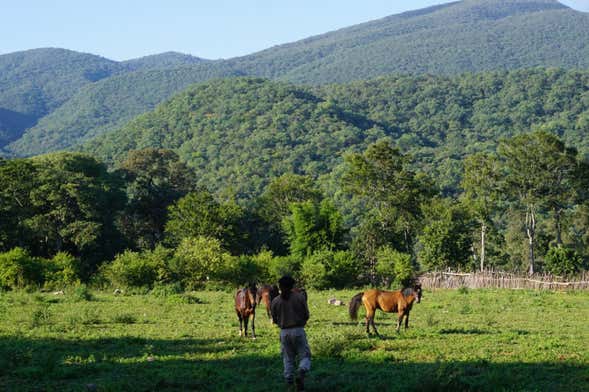 Paseo a caballo por las Yungas + Asado argentino