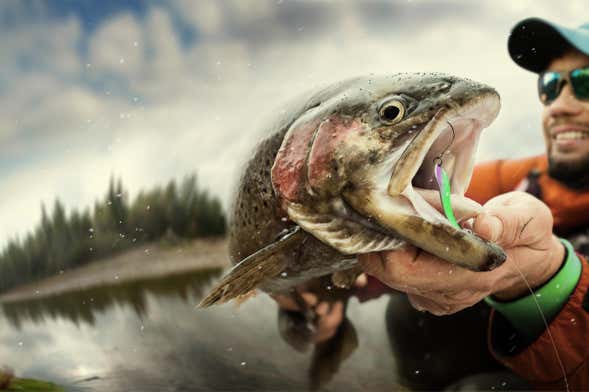 Fishing in the Paraná River from Santa Fe - Book at Civitatis.com