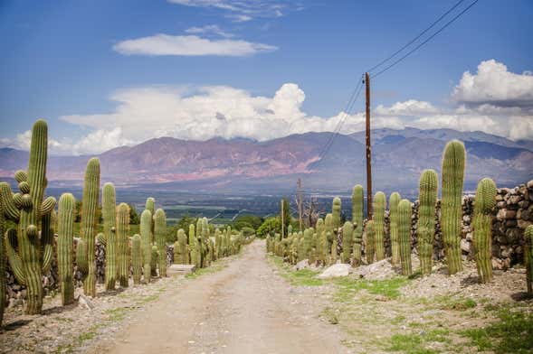 Tafí del Valle Tour