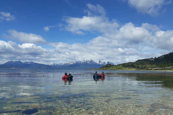 Beagle Channel Diving Introduction