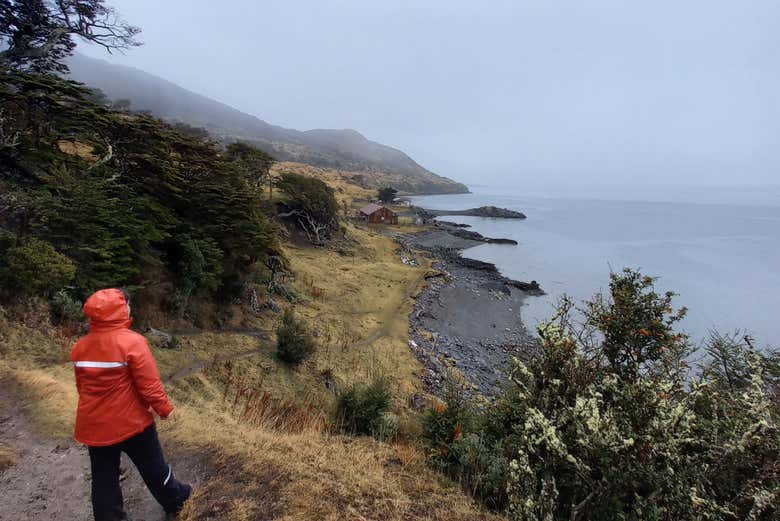 Walking along the shore of the Beagle Channel