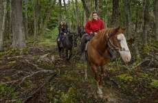 Escondido Lake Horse Riding Tour