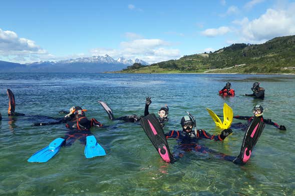 Snorkelling in the Beagle Channel