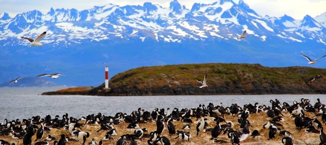 Beagle Channel Yacht Cruise & Bridges Island Trek