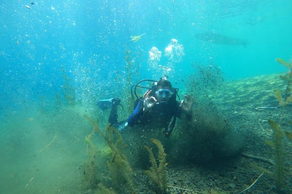 Diving in Correntoso Lake