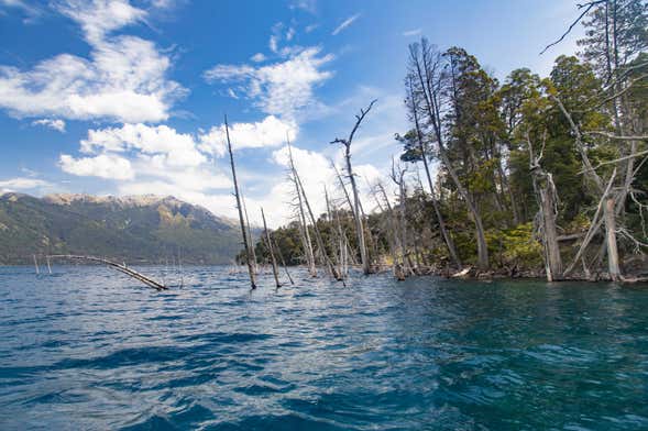 Excursión a Villa Traful