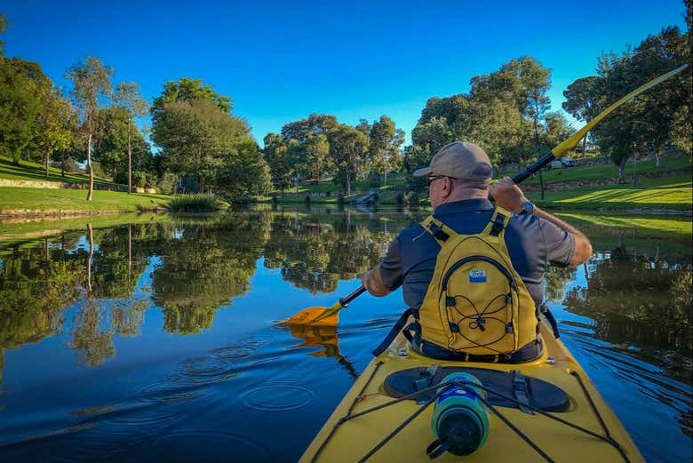 Rowing along the River Torrens