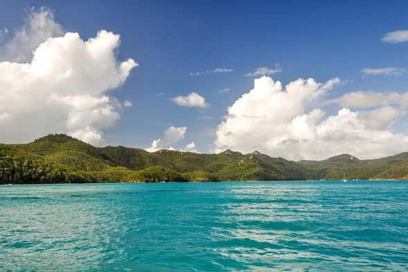 Excursión a la isla Whitsunday y Hook Island con snorkel