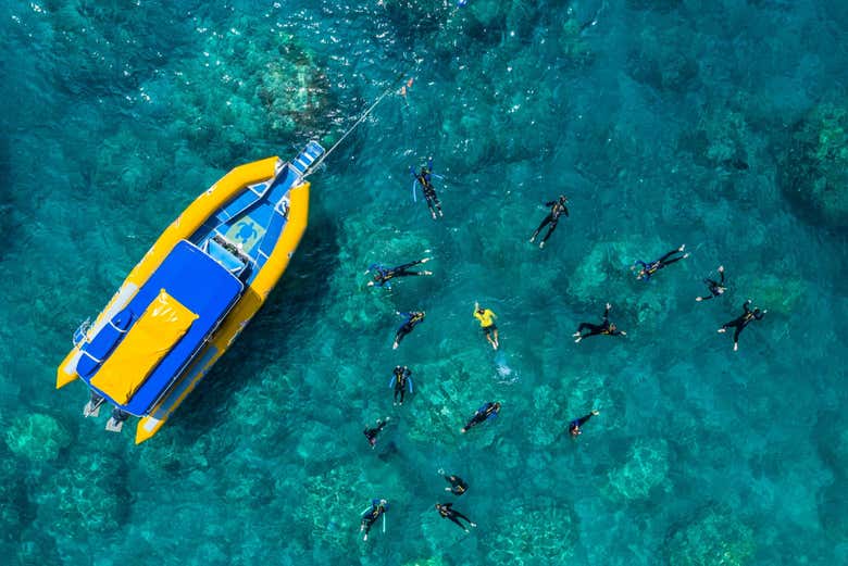 Haciendo snorkel en aguas cristalinas