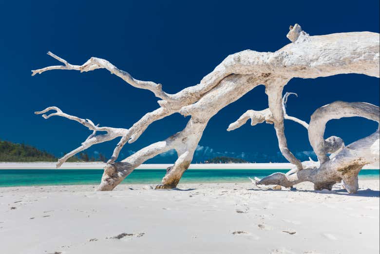 Visitando Whitehaven Beach