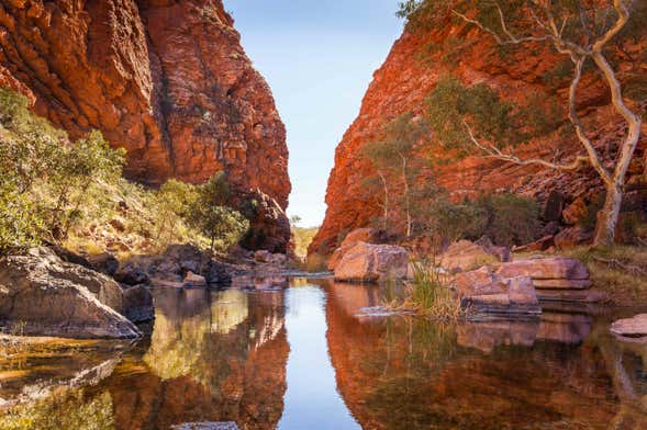 Alice Springs Guided Tour