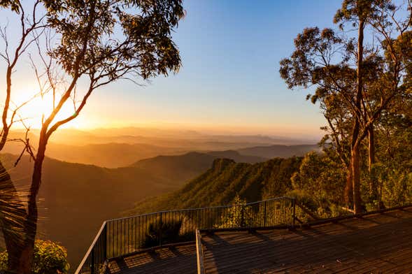 Mt Tamborine Wine Tour