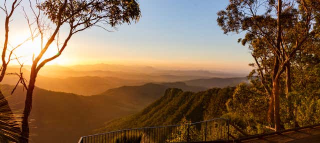 Mt Tamborine Wine Tour From Brisbane - Book At Civitatis.com