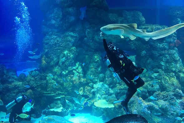 Entrada al Acuario de Cairns