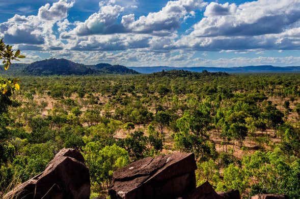 Outback & Chillagoe Day Trip