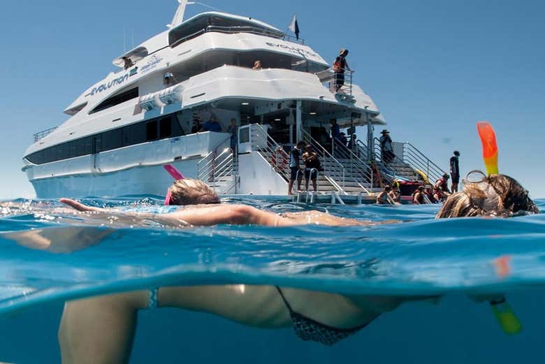 Snorkel En La Gran Barrera De Coral Desde Cairns Civitatis Com