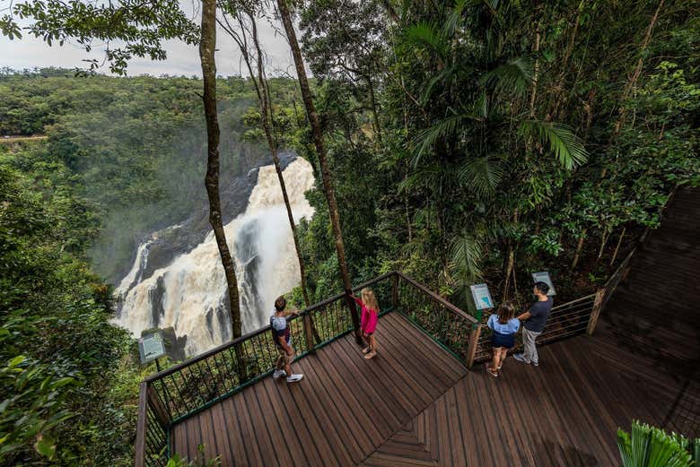 See Barron Falls from the viewpoint