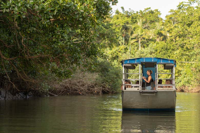 Sailing along the Daintree River