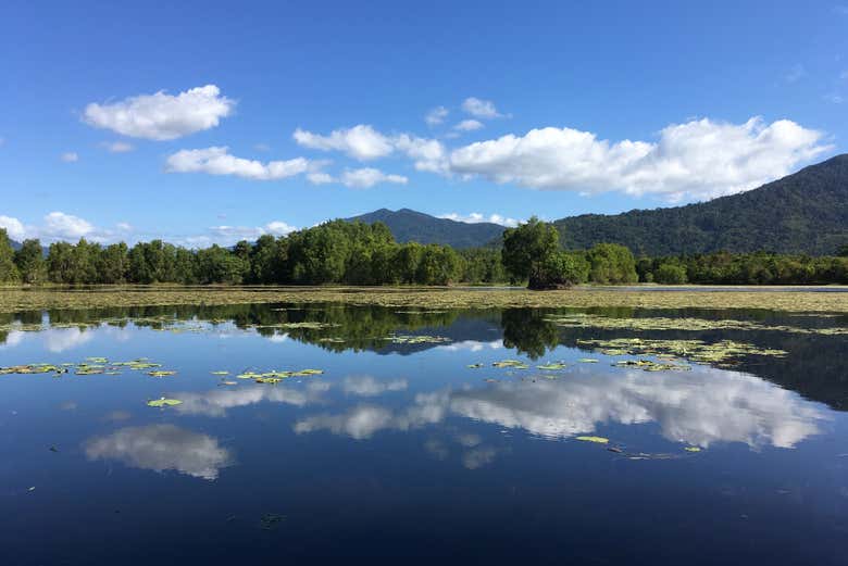 El lago Jabiru, en los humedales de Cattana 