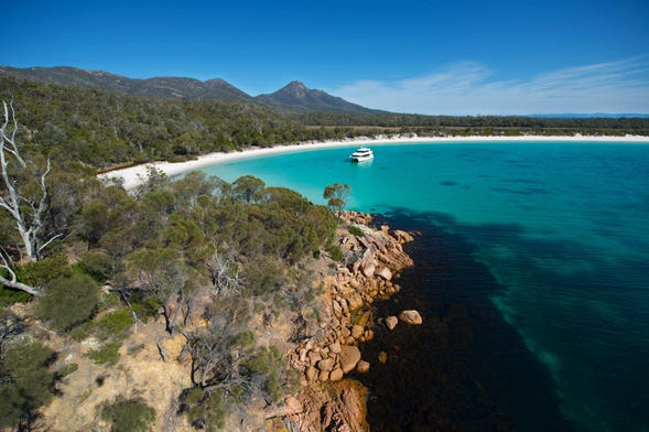 Freycinet Peninsula & Wineglass Bay Lunch Cruise from Coles Bay