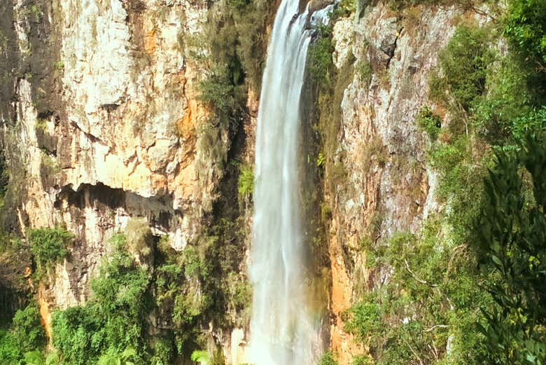 Cascada del Parque Nacional Springbrook