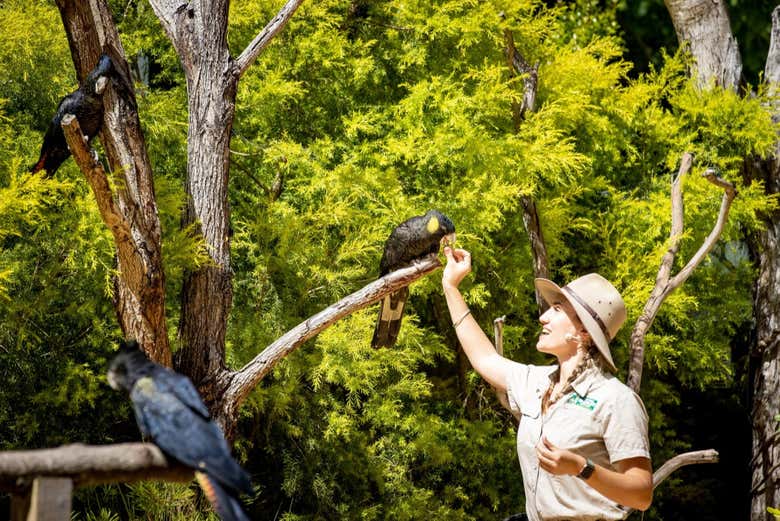 Currumbin Wildlife Sanctuary