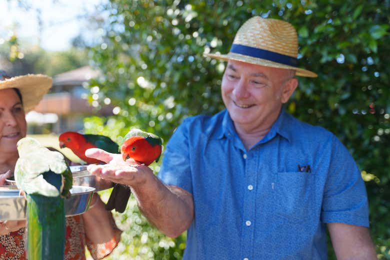 Podréis hacer amigos con aves