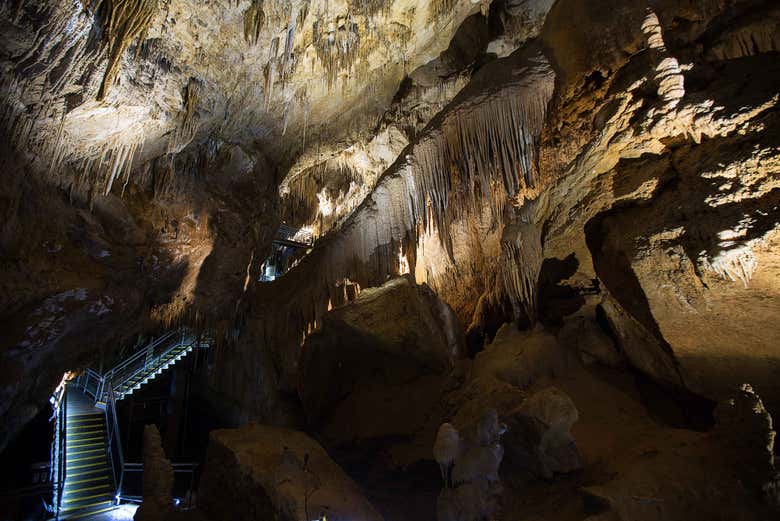 Hastings Caves