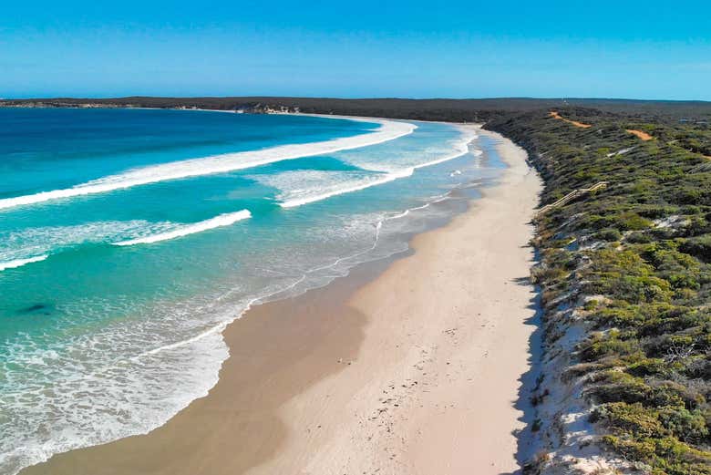 Sail up the incredible coastline of Kangaroo Island