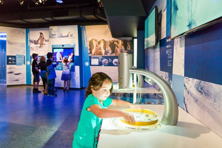 Interactive activities at Nobbies Ocean Discovery