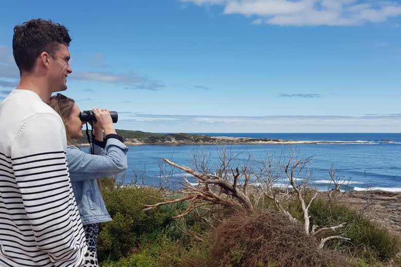 Contemplando la costa de Margaret River