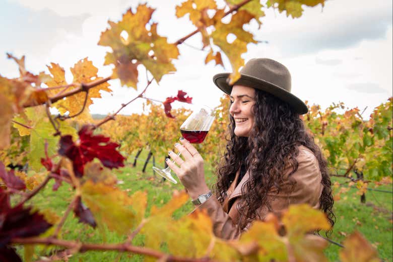 Un buon calice di vino rosso nei vigneti di Margaret River