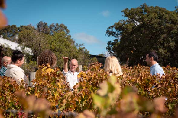 Tour privado por Margaret River