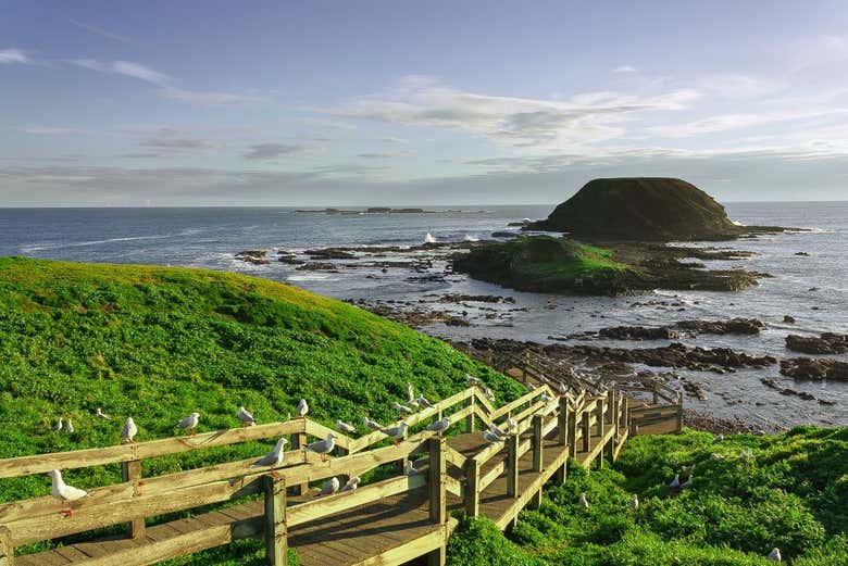 Panoramic view of Phillip Island