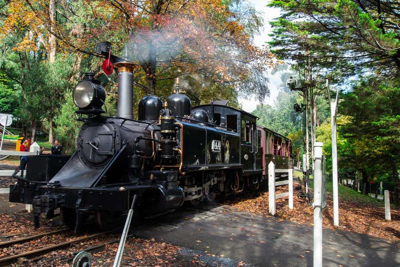 Tren de vapor Puffing Billy