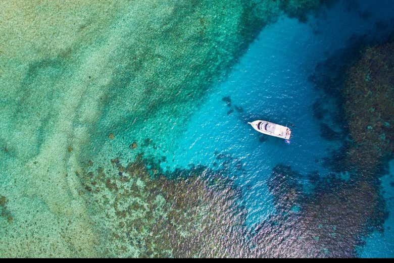 The Great Barrier Reef