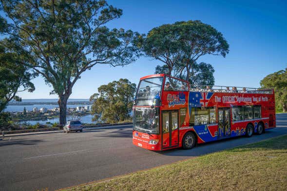 Perth Sightseeing Bus