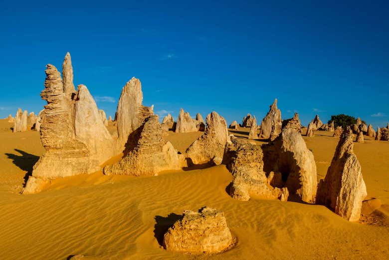 Desierto de los Pináculos