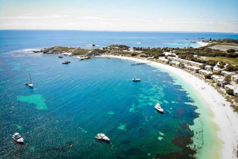 Rottnest Island Ferry from Perth Book Online at