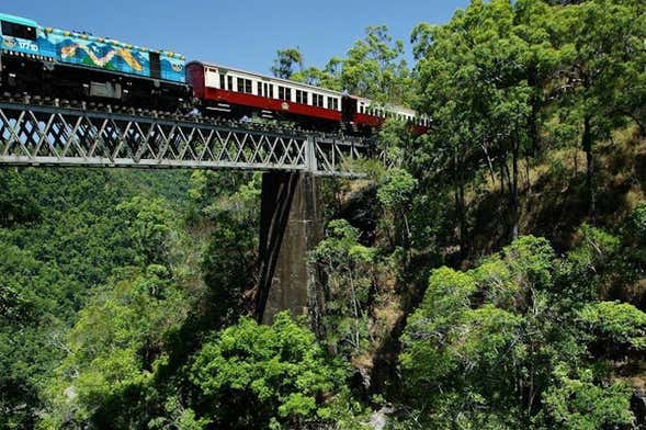 Excursión a Kuranda en tren panorámico + Teleférico