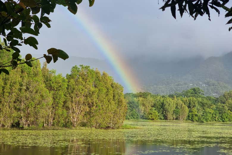 Discover the beautiful Cattana Wetlands