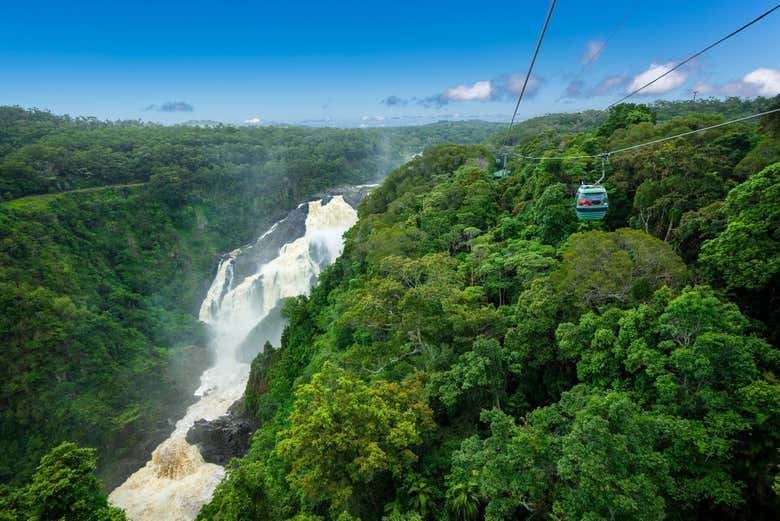 Enjoy the views of the majestic Barron Falls from the cable car