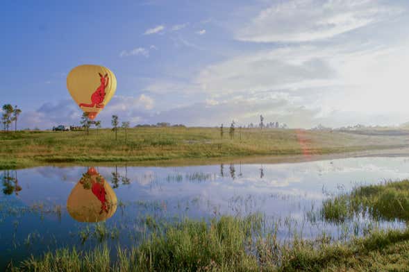 Hot Air Balloon Ride in Port Douglas