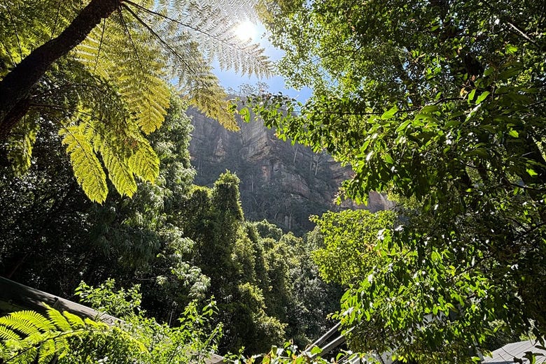 Naturaleza en las Montañas Azules