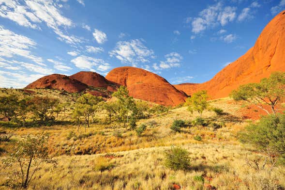 Aluguel de bicicleta em Uluru-Kata Tjuta