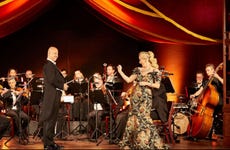 Johann Strauss Concert + Dinner in the Prater