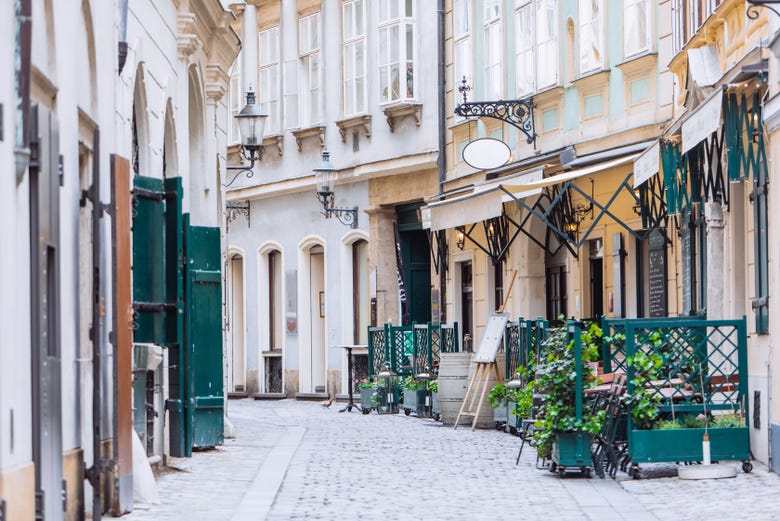 Una de las encantadoras calles de Viena