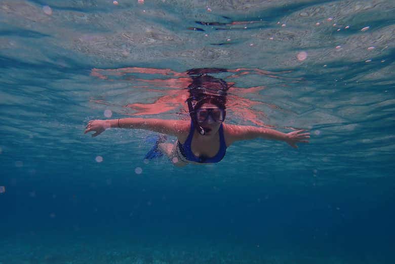 Snorkeling around Pearl Island