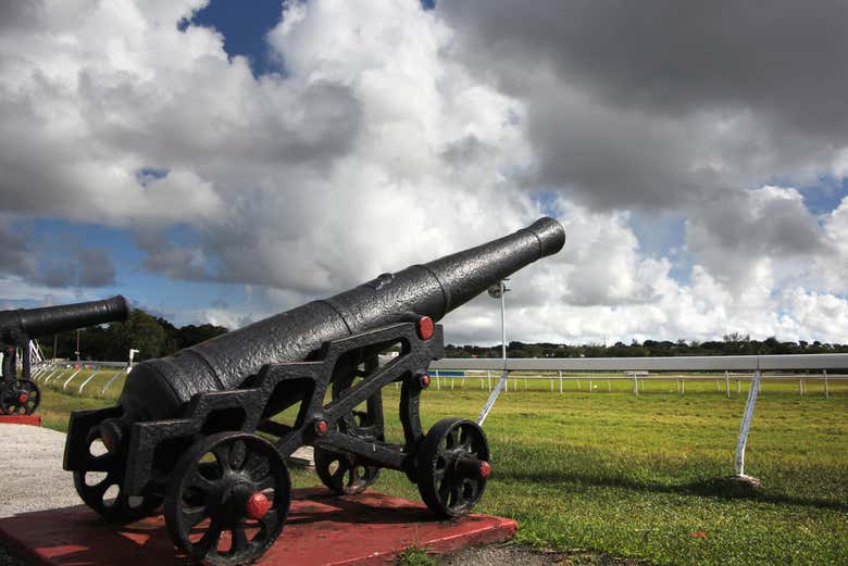 Immerse yourself in the history of Barbados